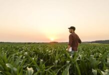 Ne propustite: Otvoren je natječaj za izbor najboljeg hrvatskog mladog poljoprivrednika