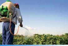 Općina Staro Petrovo Selo organizira još jedan tečaj o pravilnoj uporabi pesticida