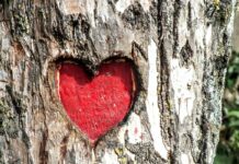 POKLONITE PAŽNJU: Danas je Valentinovo, slavimo “leptiriće” i ideju prave ljubavi