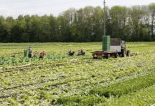 Izmjene u proizvodno vezanim potporama i potporama za iznimno osjetljive sektore