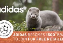 Sjajna vijest za životinje i budućnost mode: Adidas odbacuje krzno!