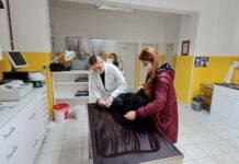 Potez za pet: Općina Nova Kapela sufinancirat će kastraciju i sterilizaciju pasa i mačaka