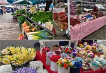 Blagdanska ponuda na novogradiškoj tržnici