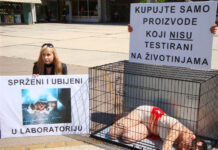 Šokantno: Unatoč zabrani, na životinjama i dalje testiraju kozmetičke sastojke