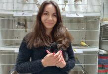 Pet Shop “Šapice”: Od tarantule do kaputića za pse