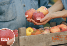 Priznata prva oznaka „Dokazana kvaliteta – Hrvatska“ za sektor voća