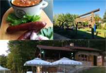 Slavonski salaši, rančevi i imanja za savršeno proljetno putovanje