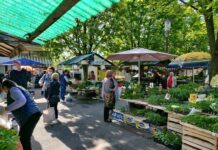 Sve boje vrta: Bogata ponuda svježeg voća i povrća