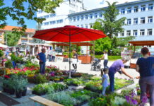 Ovog petka i subote: Prvi Flora fest u Novoj Gradiški