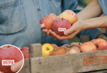 „Dokazana kvaliteta – Hrvatska“ oznaka za proizvod domaćeg podrijetla