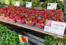 Domaće jagode na tržnici 15 kuna, potražnja je velika