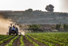 Poljoprivrednici: Otvoren natječaj za dodjelu 60 tisuća kuna, evo tko ih može dobiti!