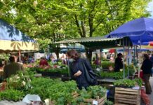 Proljeće je stiglo na novogradišku tržnicu