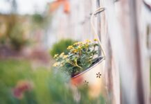 KALENDAR RADOVA: Što raditi u vrtu tijekom svibnja?