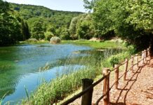 Jedan od najljepših parkova Hrvatske: Sve što trebate znati prije posjeta Papuku