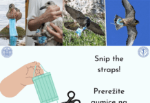 Veterinarski fakultet u Zagrebu: Molimo vas režite gumice na maskama