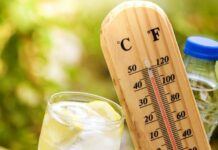 Kako što bezbolnije preživjeti paklene vrućine