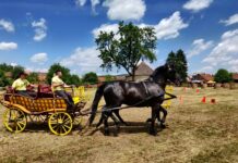 Održano 7. natjecanje zaprega “Konji bili, konji vrani”