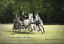 Ove nedjelje održat će se 7. natjecanje zaprega “Konji bili, konji vrani”