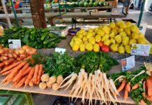 Padaju cijene voća i povrća na novogradiškoj tržnici