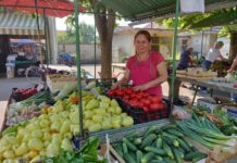 Svježe i raznovrsno na novogradiškoj tržnici