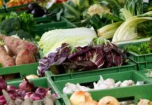 5 milijuna kuna za pripremu projekata kojima se potiče udruživanje poljoprivrednih proizvođača