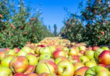 Uskoro nove oznake na proizvodima u trgovinama u Hrvatskoj