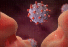 Šest novooboljelih osoba od COVID-19 u protekla 24 sata