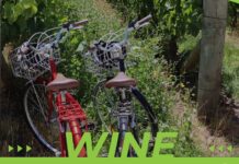 Kako kvalitetno provesti nedjelju? Uz bicikl i degustacije vina!