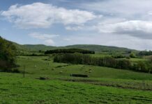Hoće li biti bolje: Najavljeni kratkoročni mehanizmi pomoći stočarima