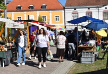Uspješne 22. Poljoprivredno-poduzetničke ideje / Drugi dan
