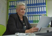 Iz pera naše sugrađanke Mirele Relković: Neki novi klinci i oporavak gospodarstva