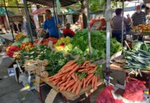 Bogata ponuda na novogradiškoj tržnici