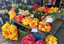 Novogradiška tržnica – šarena oaza ekološkog uzgoja i domaćih proizvoda