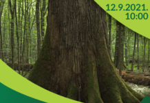 Još jedna biciklijada Biciklističkog kluba Psunj: Obilazak posebnog rezervata šumske vegetacije Prašnik