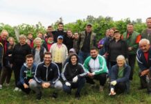 Ranija berba graševine na OPG-u Hoborka kao pun pogodak: Dobro vino pravi se u vinogradu