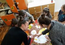 Volonteri Elektrotehničke i ekonomske škole ovog petka prikupljaju plastične boce, čepove i priloge za hranu napuštenim životinjama