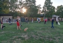 Novi sadržaj u Novoj Gradiški: Započeli treninzi u Školi za pse