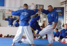 Uspješno održan 13. međunarodni nanbudo seminar u Okučanima