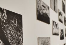 Otvorena izložba ‘Mindcraft’ umjetnika Marija Čaušića