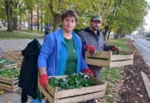 Djelatnici Eko-konga: Cvijeće za ljepši izgled Nove Gradiške