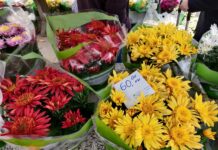 Uoči blagdana Svih svetih provjerili smo ponudu cvijeća na tržnici