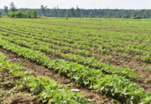 Dva nova natječaja za male i mlade poljoprivrednike