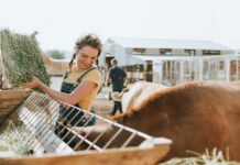 Odobreno 171 milijun kuna za pomoć stočarstvu