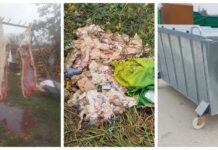 Općina Rešetari postavila spremnik za odlaganje otpada od svinjokolja na reciklažnom dvorištu