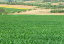 Uskoro kreće isplata 1,7 milijarde kuna predujma poljoprivrednicima – osigurano 200 milijuna kuna više nego lani