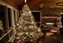 Do kada bi božićno drvce i jaslice trebali ostati u domovima vjernika?