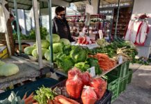 Novogradiška tržnica – šarena oaza domaćih proizvoda