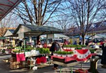 Božićna ponuda na novogradiškoj tržnici