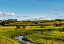 Produljeni rokovi prijave na natječaje za mlade i male poljoprivrednike